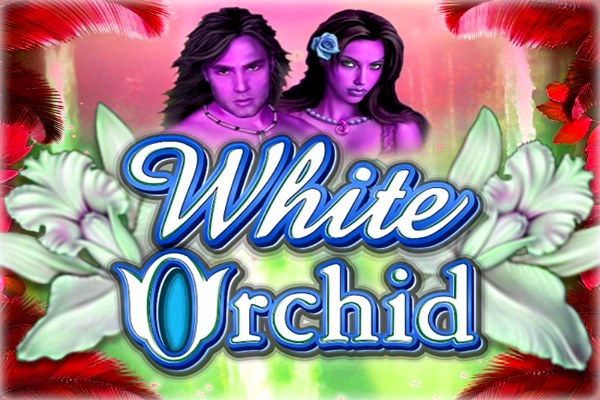 White Orchid Demo Slot